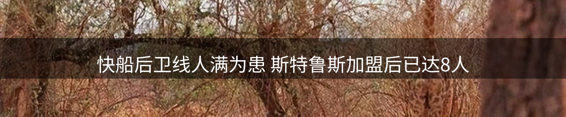 内页banner