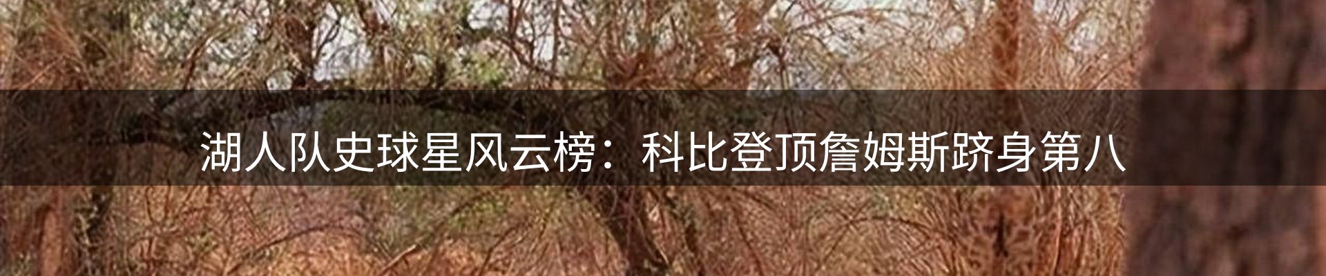 内页banner